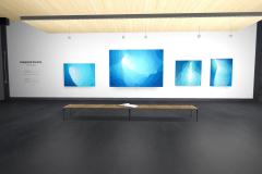 Snapshot_025